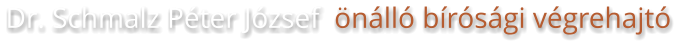 Dr. Schmalz Péter József  önálló bírósági végrehajtó