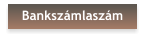 Bankszámlaszám